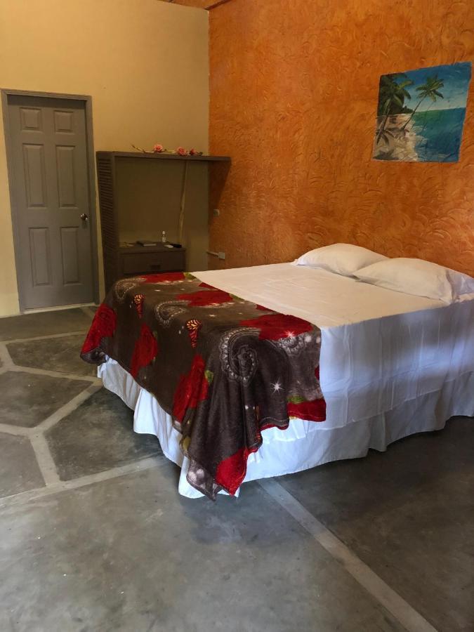 Hotel Casa Vieja ラ・セイバ エクステリア 写真